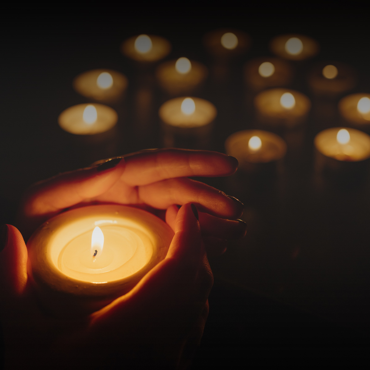 The Light Within Me Bronia West